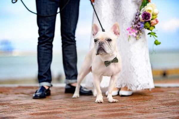 写真入りの世界に一つだけのコーヒーを結婚式のプチギフトに。オリジナルドリップバッグサービスforウェディング by THE COFFEESHOP